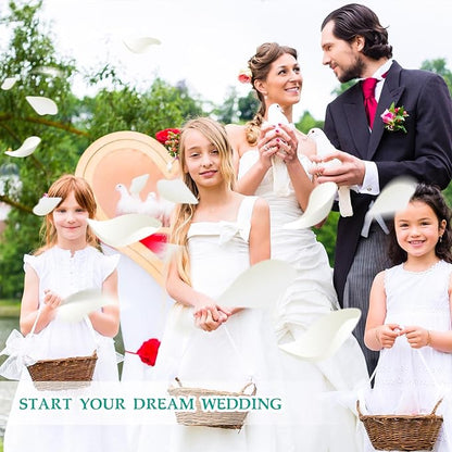 Dried Real Rose Petals, Natural Preserved Dry Flower Petals for Wedding Party Dinner Table Decor, Romantic Night for Her Set, Engagement, Bridal Shower, Valentine's Day, Confetti (3oz, White)