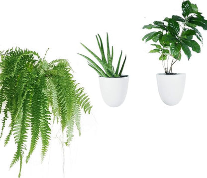 PlantPod Luxe Self-Watering Wall Planters (Set of 3) - Easy to Water and Install - Lightweight - Design Your Own Vertical Garden - Wall Planters for Indoor Plants