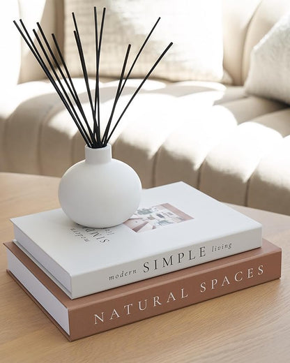 Beautiful Decorative Books - Set of 2 Boxes Enhance Your Table, Bookshelf or Mantel Shelf Decor - Aesthetic Fake/Faux Books for Modern Home Decoration, Photo Storage and as a Keepsake Box