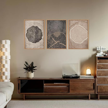HOURIA Neutral Brown Tree Rings Framed Canvas Wall Art Set,Modern Beige Tan Wood Stump Wall Decor,Vintage Abstract Tree Spiral Art Print,Nature Black Artwork for Living Room,Bedroom,Office- 16"x24"x3