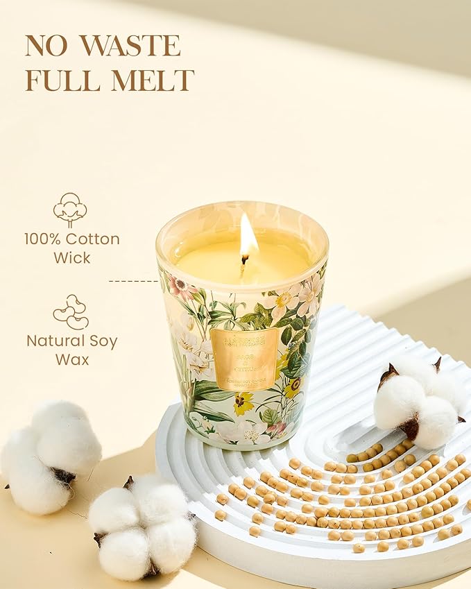 M&SENSE Sage Citrus Scented Natural Soy Wax Candle, 14.1oz 60 Hours Long Lasting Slow Burning, Aromatherapy Fall Winter Candle for Stress Relief, Festival Thanksgiving Christmas Housewarming Gifts