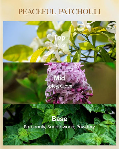 M&SENSE Peaceful Patchouli Scented Natural Soy Wax Candle, 14.1oz 60 Hours Long Lasting Slow Burning, Aromatherapy Fall Winter Candle for Stress Relief Festival Gifts for Home Decor