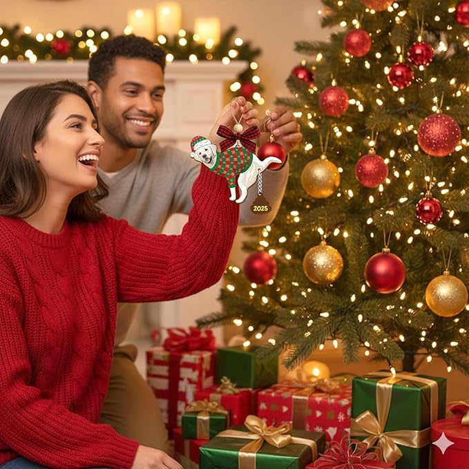 Funny Christmas Ornaments 2025, Dog Ornaments, Unique Hilarious Christmas Decorations, Funny Christmas Ornaments, White Elephant Gifts