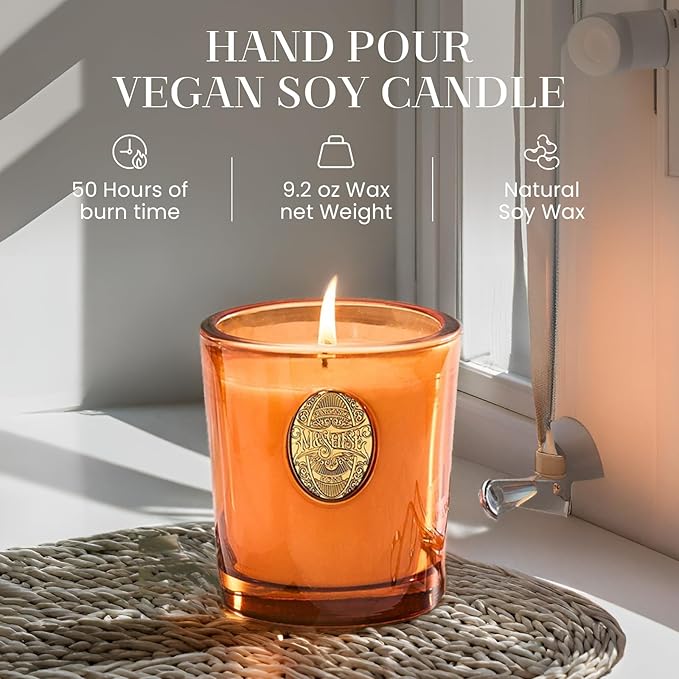M&SENSE Natural Fresh Soy Candle | Orange Goji & Neon Orange | 9.2 oz, 50H Burn Time | Luxury Scented Candle for Relaxation, Gifting, Home Décor | Ideal for Bedroom, Office, Party Ambiance