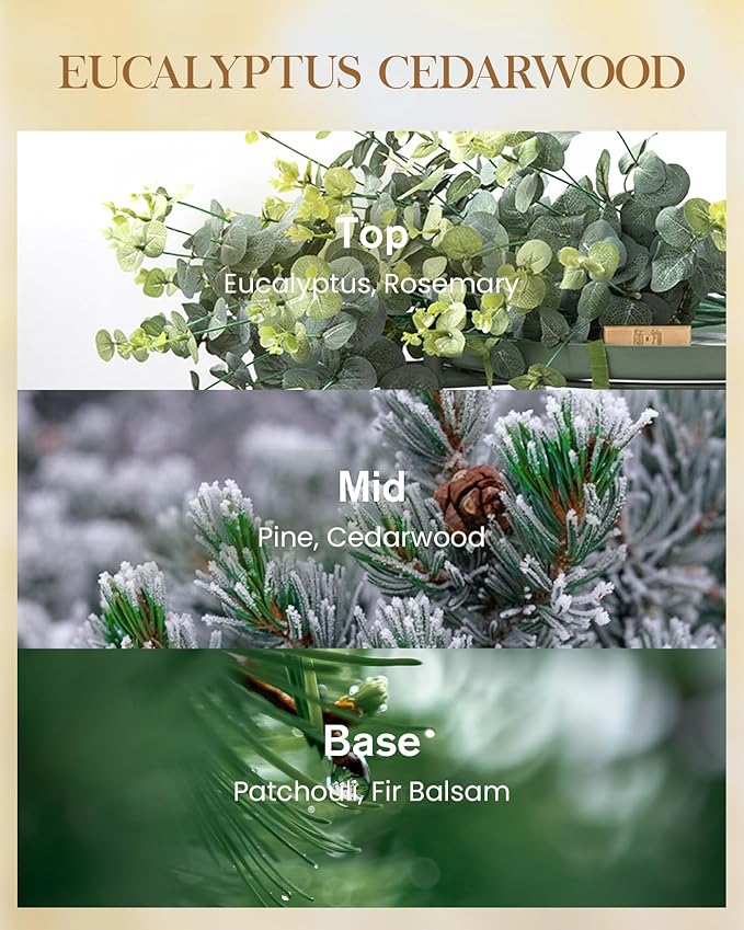 M&SENSE Eucalyptus & Cedarwood Scented Candle, 3 Wick 35oz Natural Soy Wax, Green Candles Gift for Fall Winter Home Scented, 150 Hours Long Lasting Slow Burning