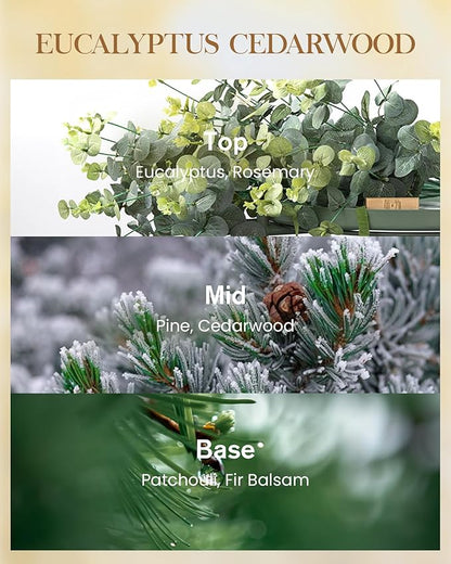 M&SENSE Eucalyptus & Cedarwood Scented Candle, 3 Wick 35oz Natural Soy Wax, Green Candles Gift for Fall Winter Home Scented, 150 Hours Long Lasting Slow Burning