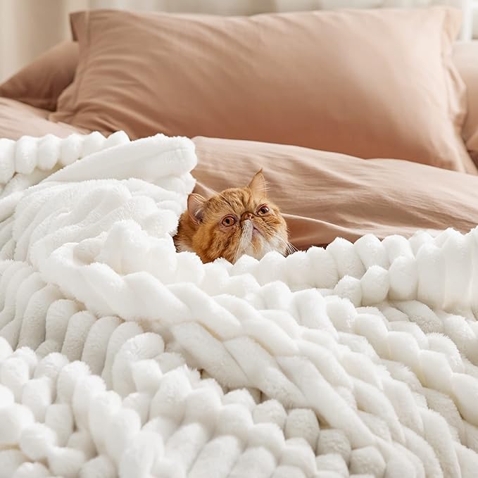 Bedsure GentleSoft White Throw Blanket for - Cozy Blanket for Women, Cute Fleece Throws for Girls Cover, Birthday Gifts for Women, Room Fall Halloween Decor, Off White, 50x60 Inches