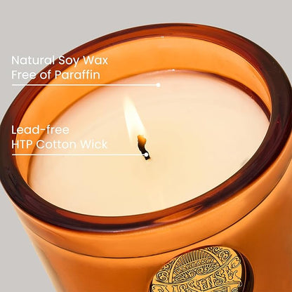 M&SENSE Natural Fresh Soy Candle | Orange Goji & Neon Orange | 9.2 oz, 50H Burn Time | Luxury Scented Candle for Relaxation, Gifting, Home Décor | Ideal for Bedroom, Office, Party Ambiance