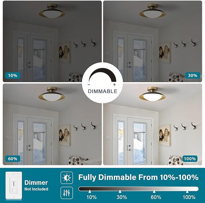 Dimmable Small Mid Century Modern Flush Mount Ceiling Light with Acrylic Shade,Black and Gold LED Ceiling Lights,5CCT 2700K-6000K Light Fxiture for Hallway Entryway Bedroom Kitchen Laundry Room 11.8in