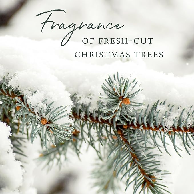 Thymes Frasier Fir Candle - Heritage Pine Needle Luminary Scented Candles - Elegant Pine Candle - Crisp Siberian Fir, Cedarwood & Sandalwood - Holiday Candles - Christmas Decor (Medium, 11.5 oz)