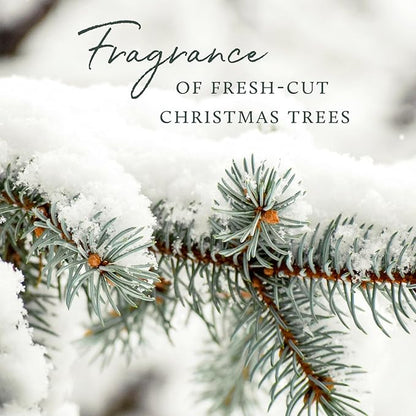 Thymes Frasier Fir Candle - Heritage Pine Needle Luminary Scented Candles - Elegant Pine Candle - Crisp Siberian Fir, Cedarwood & Sandalwood - Holiday Candles - Christmas Decor (Medium, 11.5 oz)