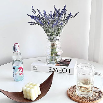 BLOFLO Transparent Glass Hydroponic Flower Vase, 7-Inch Iridescent Clear Glass Vase, Four-Layer Geometric Glass Floral Vase for Home Décor, Modern Bubble Glass Vase for Home Office Wedding Table