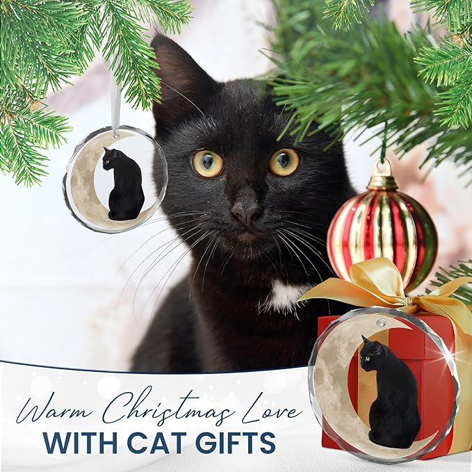 OASSIE Christmas Black Cat Gifts for Women Men - Glass Christmas Ornaments 2025 for Tree Decorations - Funny Cat Lover Gifts for Women Animal Lovers, Funny Ornaments for Xmas Decorations