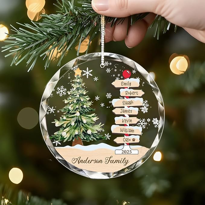 Shaant Personalized Christmas Glass Ornaments 2025, Family Name Christmas Tree Ornaments, Christmas Tree Ornament Family Names 2025, Holiday Keepsake