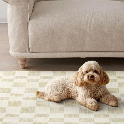 EVERGRACE Checkered Plaid Area Rug 2x3, Soft Fuzzy Faux Wool Rugs Washable Anti Slip Rugs Small Rug Carpet for Entryway Bedroom Living Room Hallway Kitchen Dining Room and Laundry Room, Beige