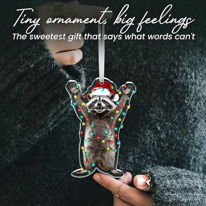OASSIE Christmas Raccoon Gifts for Women Men - Acrylic Christmas Ornaments 2025 for Tree Decorations - Funny Racoon Gifts for Women Animal Lovers, Raccoon Ornament, Racoon Gift for Mom Dad Friends