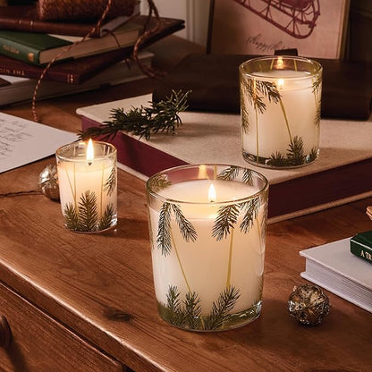 Thymes Frasier Fir Pine Needle Candle – Holiday Candles for Home Scented with Notes of Crisp Siberian Fir, Cedarwood & Sandalwood – Christmas Decor – Christmas Gifts for Women & Men (13 oz)