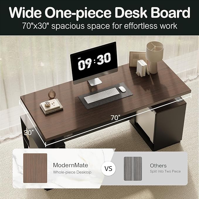 71" Standing Executive Desk with Privacy Panel, Large One-Piece Electric Height Adjustable Stand Up Desk with Charging Station, File Cabinet Storage, Home and Office, Black Walnut