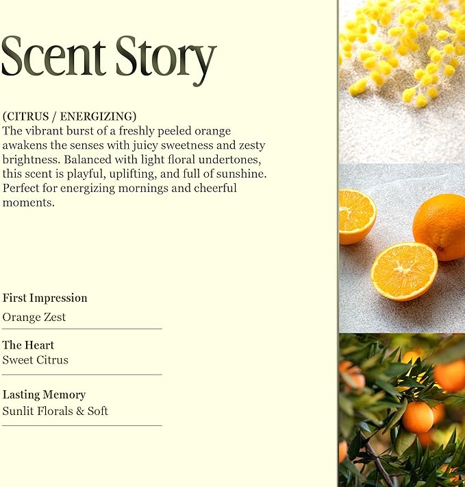 Scented Luxury Candles in Handmade Ceramic Jars, Soy Wax | Orange Blossom – Orange & Mimosa, Large Candle | Non Toxic, 2 Wicks, Reusable Big Orange Jar | Natural Spring Aromatherapy for Women & Men
