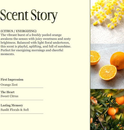 Scented Luxury Candles in Handmade Ceramic Jars, Soy Wax | Orange Blossom – Orange & Mimosa, Large Candle | Non Toxic, 2 Wicks, Reusable Big Orange Jar | Natural Spring Aromatherapy for Women & Men