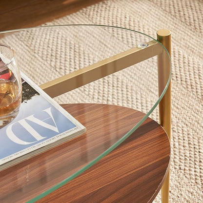 Saint Mossi Olive Glass Coffee Table for Living Room, Mid Century Modern Center Table, Surfboard Clear Glass & Coffee Brown MDF Bottom Shelf with Rounded Corners, L41xW21xH17, Gold Table Legs