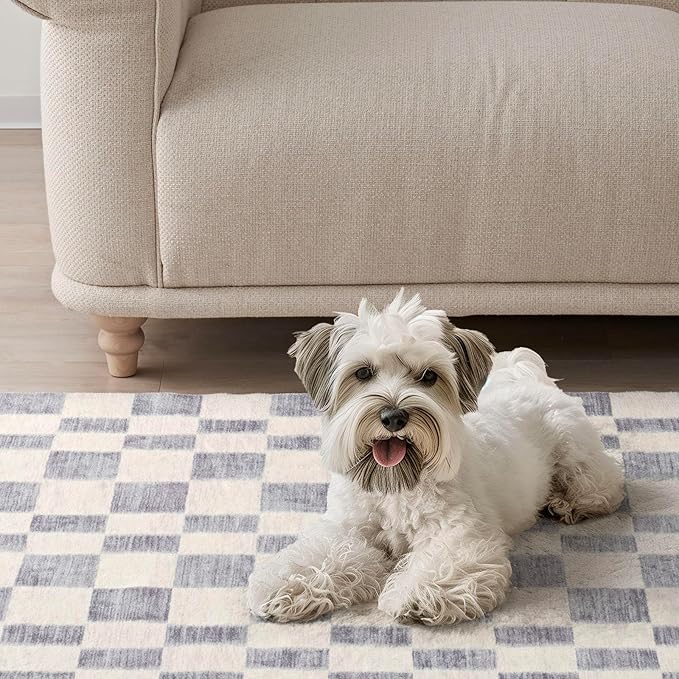 EVERGRACE Checkered Plaid Area Rug 3x5, Soft Fuzzy Faux Wool Rugs Washable Anti Slip Rugs Small Rug Carpet for Entryway Bedroom Living Room Hallway Kitchen Dining Room and Laundry Room, Light Gray