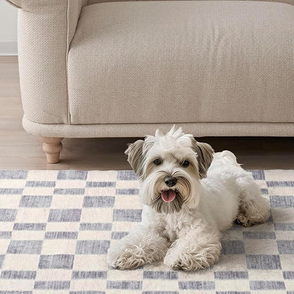 EVERGRACE Checkered Plaid Area Rug 3x5, Soft Fuzzy Faux Wool Rugs Washable Anti Slip Rugs Small Rug Carpet for Entryway Bedroom Living Room Hallway Kitchen Dining Room and Laundry Room, Light Gray