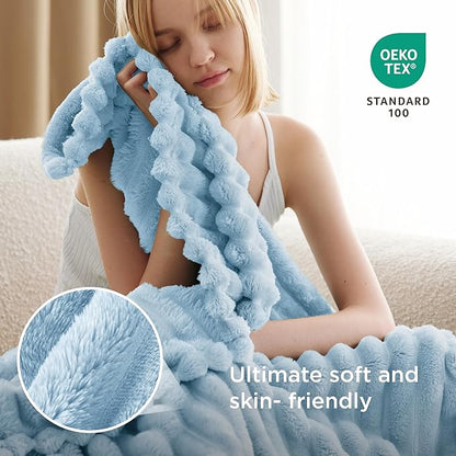 Bedsure GentleSoft Blue Fleece Blanket for - Cozy Soft Blankets for Women, Cute Small Throws for Girls, Spring Decorations for Home, Light Blue, 50x60 Inches