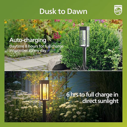 Philips 6 Packs Solar Pathway Lights Outdoor, Glass Metal Led Garden Landscape Lightings, 3000K Warm White, Waterproof for Decor Yard, Walkway, Patio, Driveway, Lawn