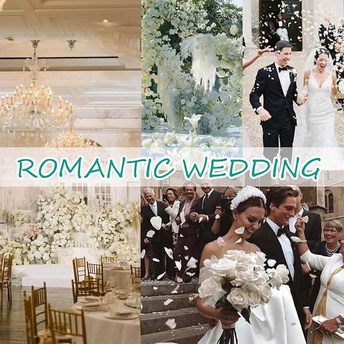 Dried Real Rose Petals, Natural Preserved Dry Flower Petals for Wedding Party Dinner Table Decor, Romantic Night for Her Set, Engagement, Bridal Shower, Valentine's Day, Confetti (3oz, White)