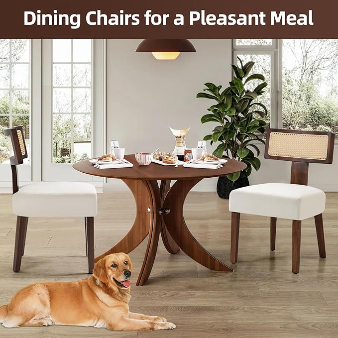 Upholstered Rattan Dining Chairs Set of 2, Mid-Century Modern Fabric Dining Room Chairs with Brown Hardwood Frame, Curved Backrest Kitchen Chair for Living Room (Cream)