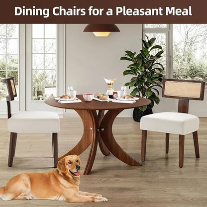 Upholstered Rattan Dining Chairs Set of 2, Mid-Century Modern Fabric Dining Room Chairs with Brown Hardwood Frame, Curved Backrest Kitchen Chair for Living Room (Cream)