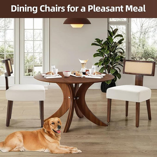 Upholstered Rattan Dining Chairs Set of 2, Mid-Century Modern Fabric Dining Room Chairs with Brown Hardwood Frame, Curved Backrest Kitchen Chair for Living Room (Cream)