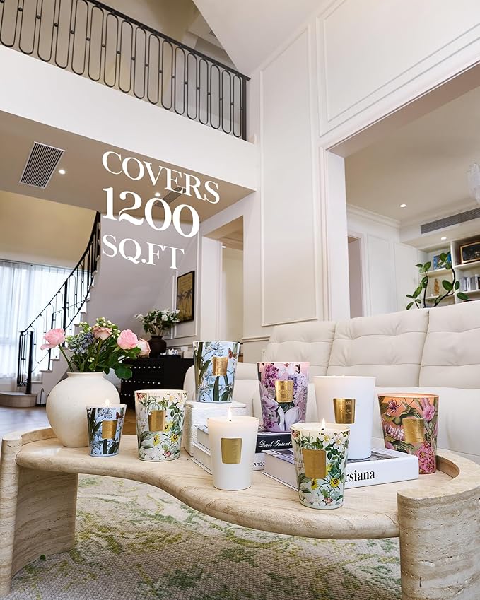 M&SENSE Sage Citrus Scented Natural Soy Wax Candle, 14.1oz 60 Hours Long Lasting Slow Burning, Aromatherapy Fall Winter Candle for Stress Relief, Festival Thanksgiving Christmas Housewarming Gifts