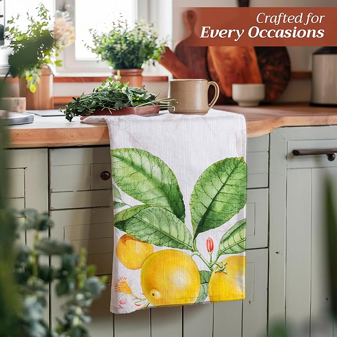 Maison d'Hermine Dish Towels 100% Cotton Absorbent Limoncello Set of 3 Spring Summer