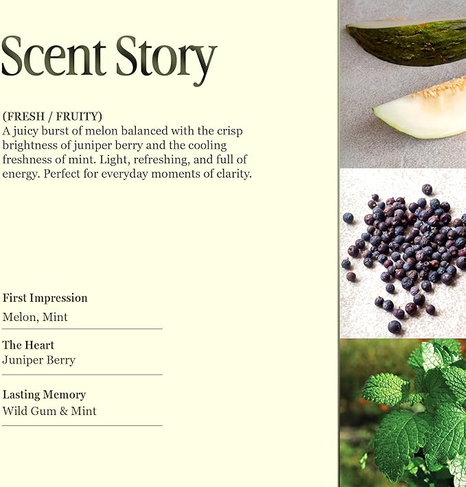 Scented Luxury Candles Outdoor Mosquito Bug Repellent Ceramic Jars, Soy Wax | The Green Life, Large Natural Candle - Green Melon & Peppermint | Non Toxic, 2 Wicks, Reusable Jar