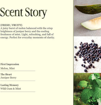 Scented Luxury Candles Outdoor Mosquito Bug Repellent Ceramic Jars, Soy Wax | The Green Life, Large Natural Candle - Green Melon & Peppermint | Non Toxic, 2 Wicks, Reusable Jar