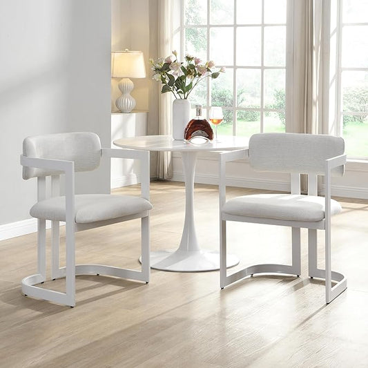 Christopher Knight Home Auber Modern Upholstered Dining Chair Set of 2, Fabric Upholstery Dining Set with Metal Frame, Comfy Side Chair for Living Room, Beige+White