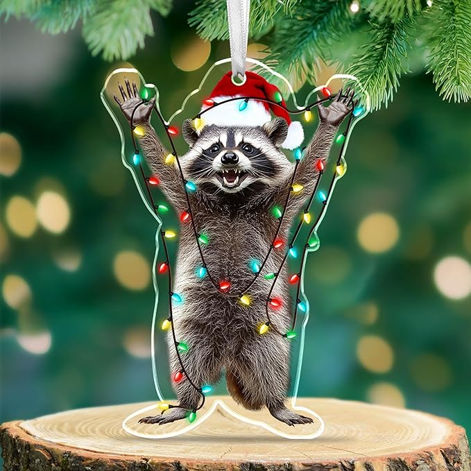 OASSIE Christmas Raccoon Gifts for Women Men - Acrylic Christmas Ornaments 2025 for Tree Decorations - Funny Racoon Gifts for Women Animal Lovers, Raccoon Ornament, Racoon Gift for Mom Dad Friends