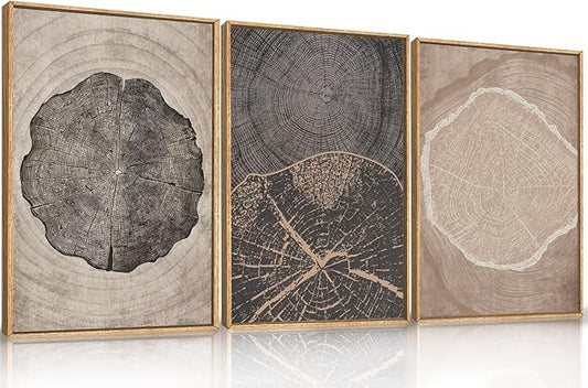 HOURIA Neutral Brown Tree Rings Framed Canvas Wall Art Set,Modern Beige Tan Wood Stump Wall Decor,Vintage Abstract Tree Spiral Art Print,Nature Black Artwork for Living Room,Bedroom,Office- 16"x24"x3