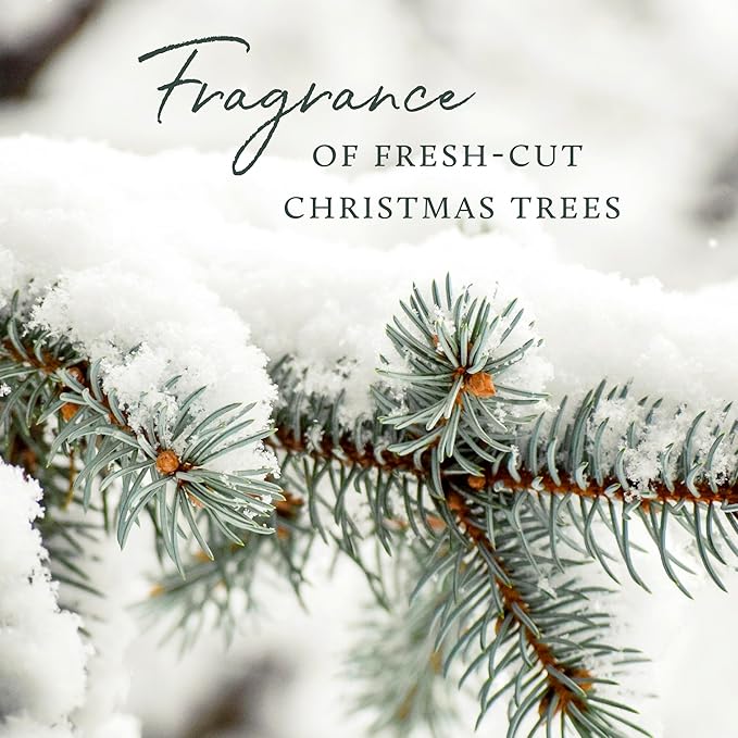 Thymes Frasier Fir Candle - Heritage Pine Needle Luminary Scented Candles - Elegant Pine Candle - Crisp Siberian Fir, Cedarwood & Sandalwood - Holiday Candles - Christmas Decor (Large, 16 oz)