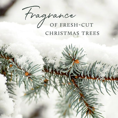 Thymes Frasier Fir Candle - Heritage Pine Needle Luminary Scented Candles - Elegant Pine Candle - Crisp Siberian Fir, Cedarwood & Sandalwood - Holiday Candles - Christmas Decor (Large, 16 oz)