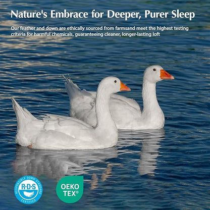 Pacific Coast Goose Feather Down Fiber Comforters Full Size, Extra Fluffy White Duvet Insert, Ultra-Soft, Breathable, All Season Hotel Luxury Bedding Comforters, 8 Corner & Center Loops (82"x86")