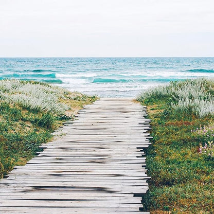 Aera Smart Home Fragrance Diffuser and Beach House Scent Refill Bundle - Alexa Compatible, Hypoallergenic, Family and Pet Safe, App Controlled