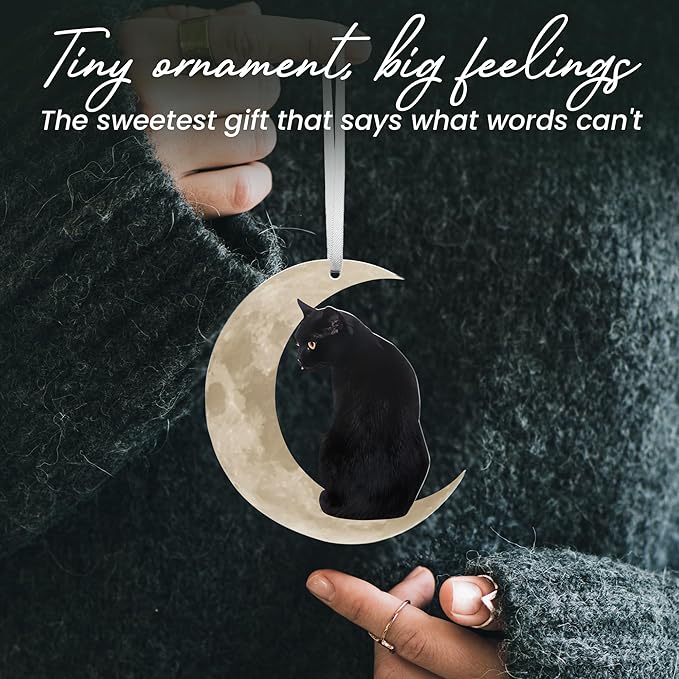 OASSIE Christmas Black Cat Gifts for Women Men - Acrylic Christmas Ornaments 2025 for Tree Decorations - Cat Lover Gifts for Women Animal Lovers, Funny Ornaments for Xmas Decorations
