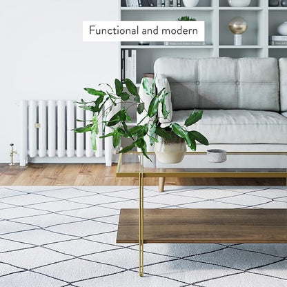 Nathan James Asher Mid-Century Rectangle Coffee Table Glass Top and Rustic Oak Storage Shelf with Sleek Brass Metal Legs, Gold