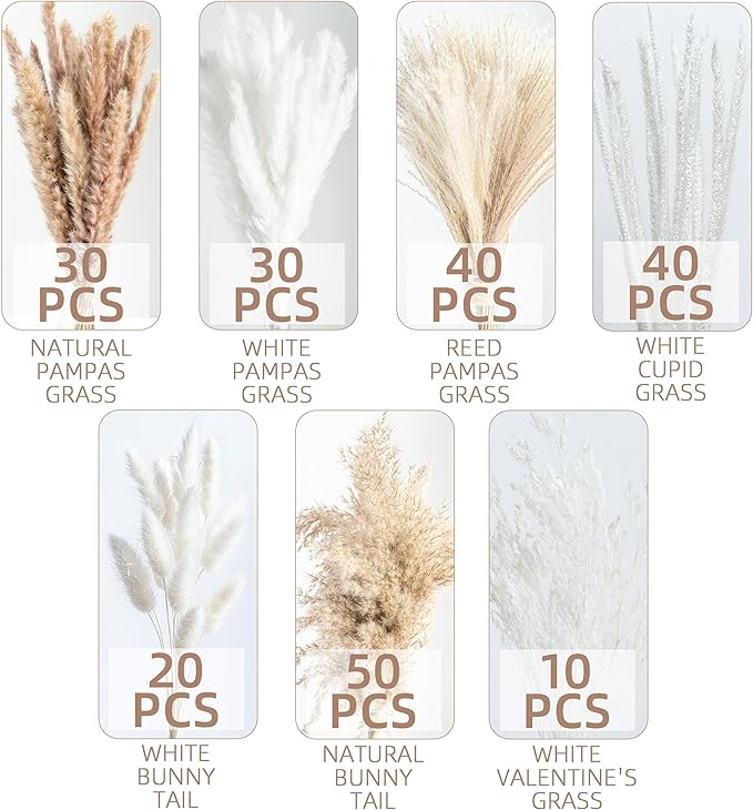 220PCS Natural Dried Pampas Grass Boho Home Decor Bouquet Phragmites Dried Flowers Bouquet for Wedding Floral Arrangements Home Decorations (220PCS)