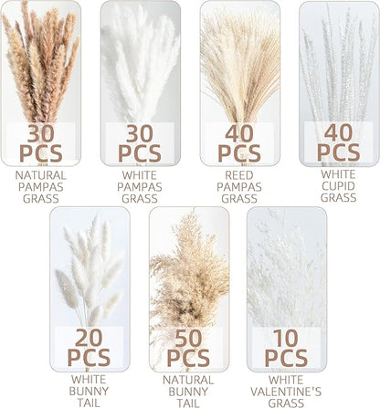 220PCS Natural Dried Pampas Grass Boho Home Decor Bouquet Phragmites Dried Flowers Bouquet for Wedding Floral Arrangements Home Decorations (220PCS)