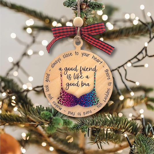My Best Friend Ornament for Women, Friendship Christmas Ornament for Women Friends, Friendship Gifts for Women Friend, Funny for Adults, White Elephant Gifts for Adults