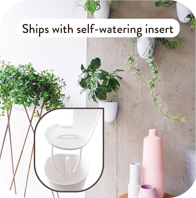 PlantPod Luxe - Self-Watering Wall Planters (Set of 6) - Easy to Water and Install - Lightweight - Design Your Own Vertical Garden - Wall Planters for Indoor Plants